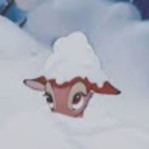 Meet your Posher, Kaci